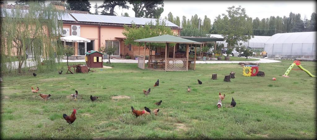 Agriturismo Perugini Bed & Breakfast เชซานา ภายนอก รูปภาพ